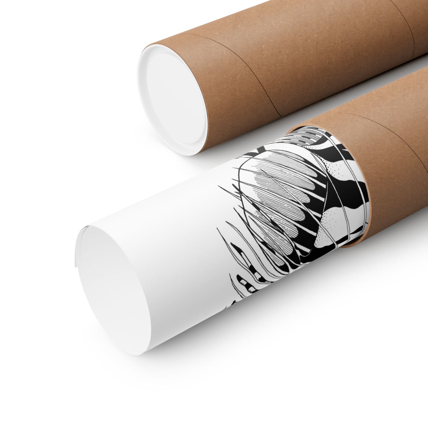 TassEpine fish art – The Enigmatic Fish Poster