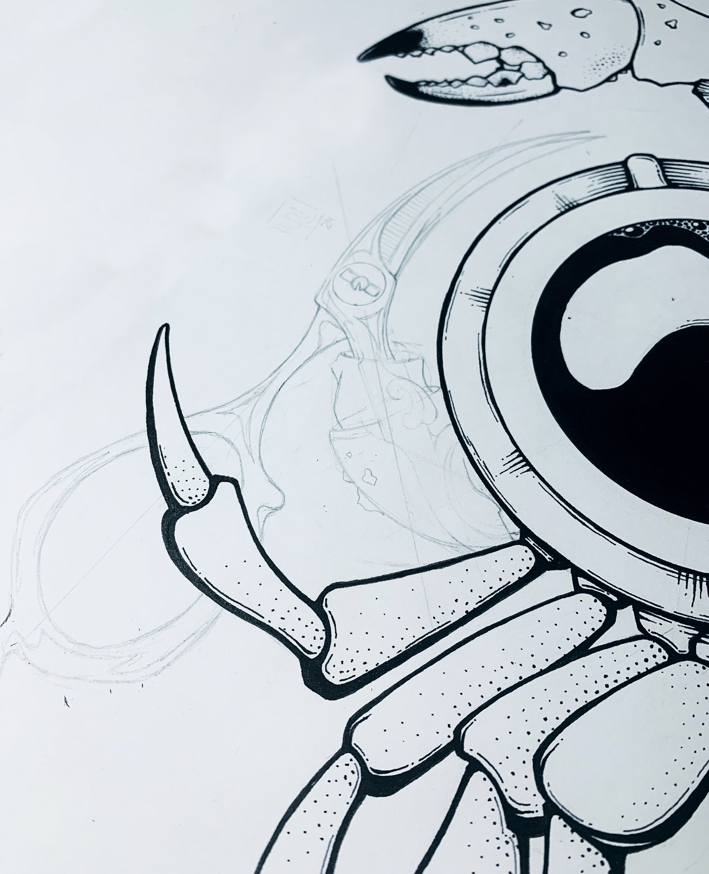 DeCarcasse. Le Crabe Pas Normal