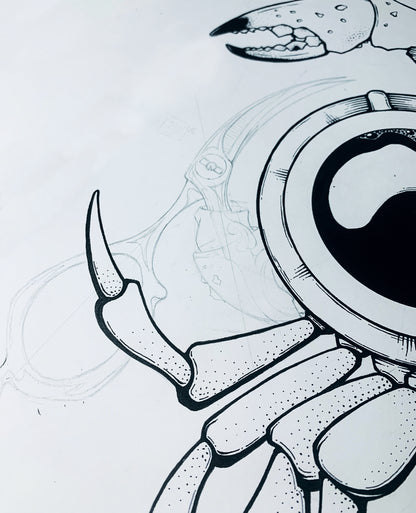 DeCarcasse. Le Crabe Pas Normal